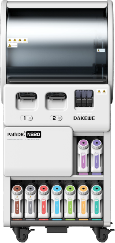 PathDR. NS20